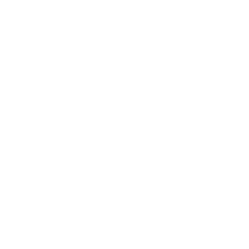 Bipa_Logo-white.png