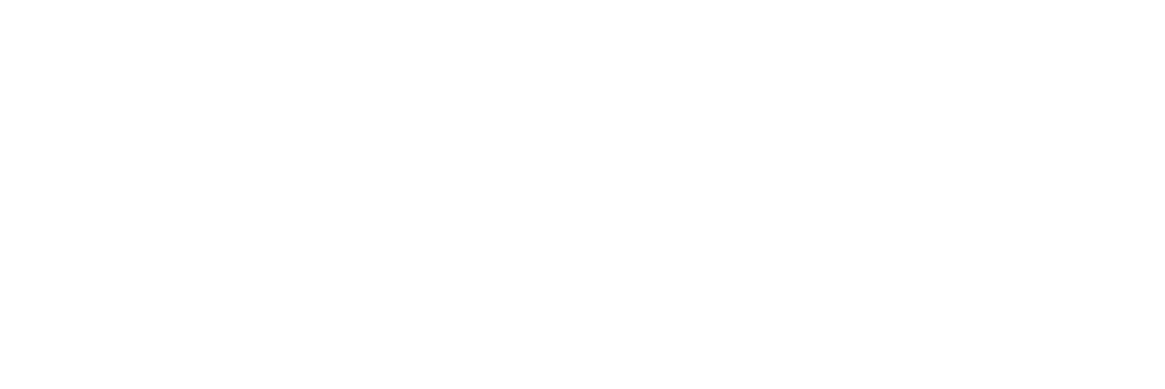 SOLROOF-white.png